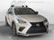 2019 Lexus NX 300 F SPORT