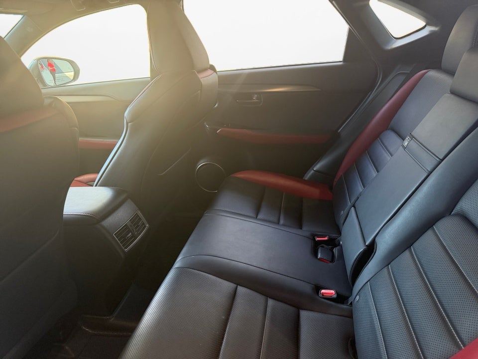 2019 Lexus NX 300 F SPORT