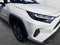 2024 Toyota RAV4 Hybrid Hybrid LE